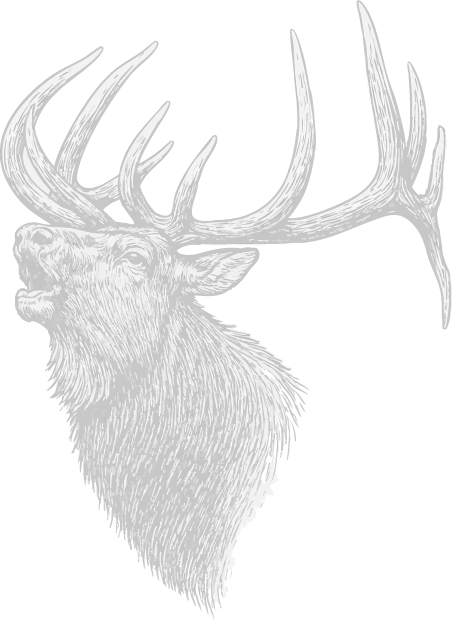 Illustration of a elk head with large antlers on a black background.
