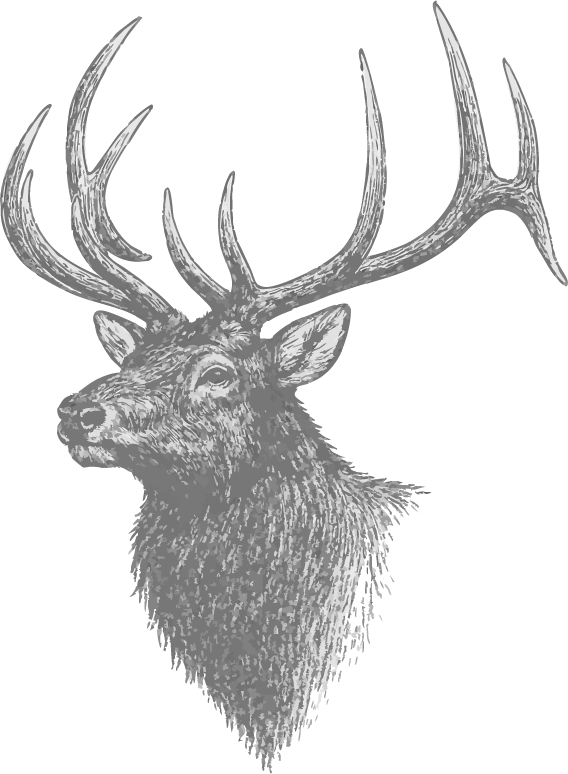 Black and white illustration of an elk with large antlers.