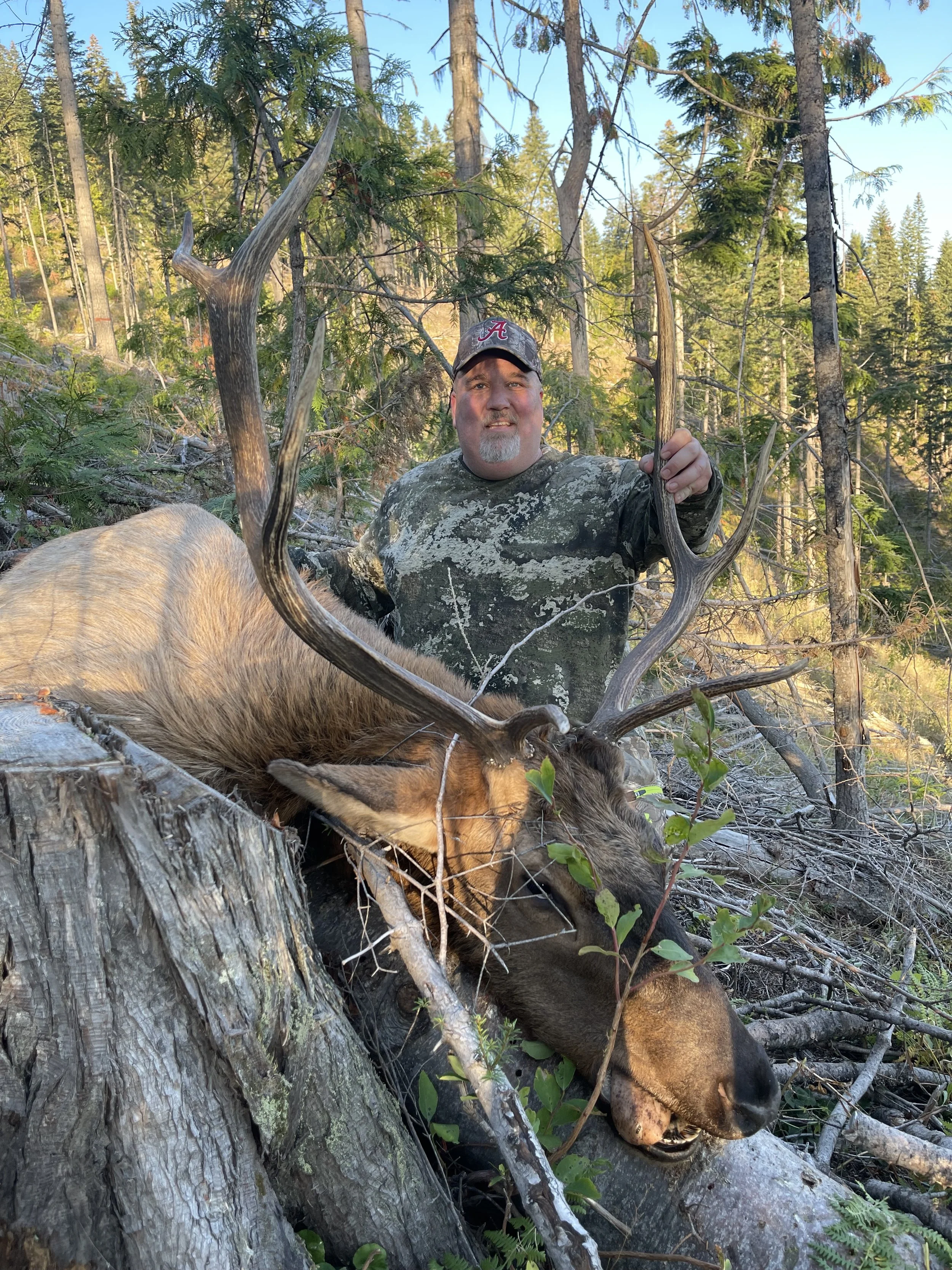 A man holding the antlers of a large dead elk with a fallen tree in a forest.