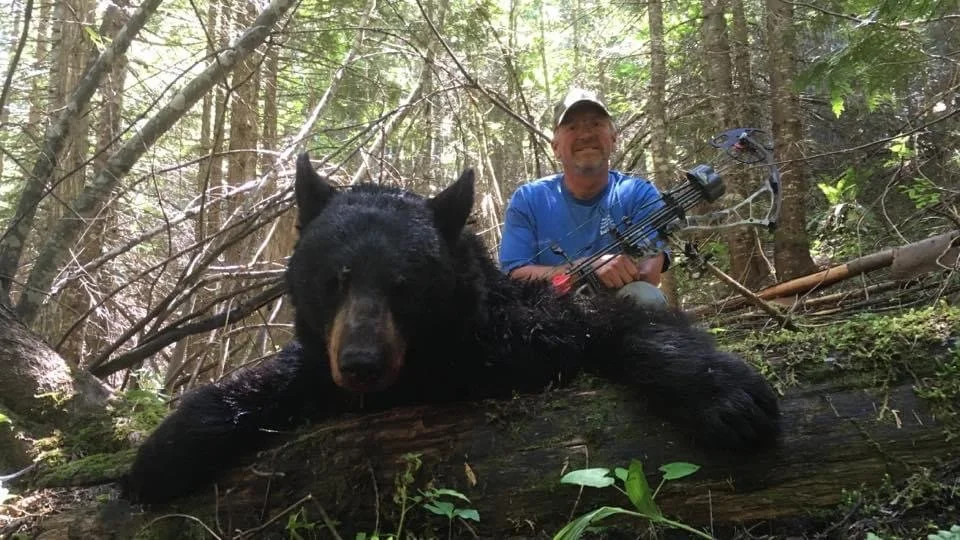 A man posing with a large, black bear lying on a fallen log in a forested area. The man is holding a bow and arrow, wearing a blue shirt and a cap.