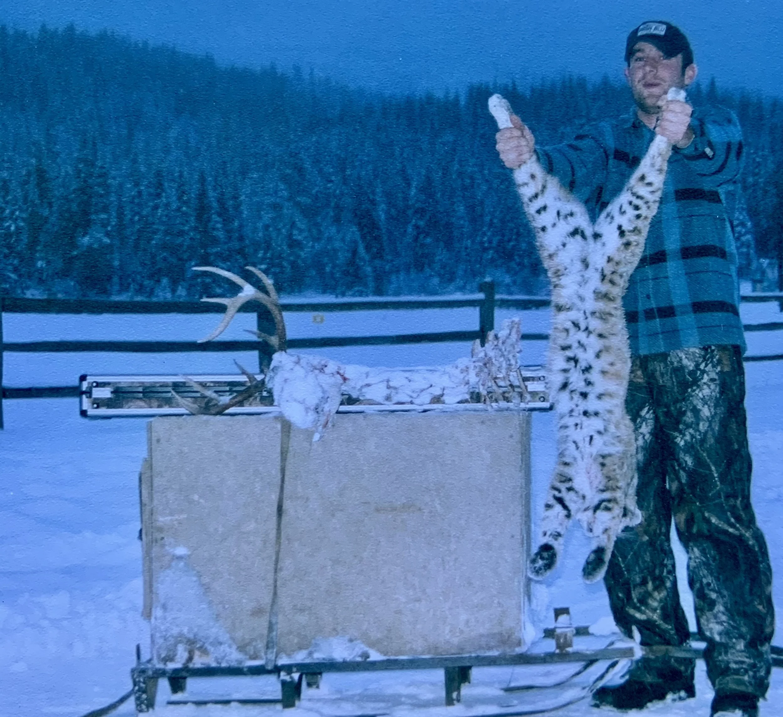 A man in camouflage pants and a blue plaid jacket holding a snow leopard up by its front paws, next to a wooden cart with a mounted antler and animal hide, in a snowy outdoor setting with pine trees in the background.