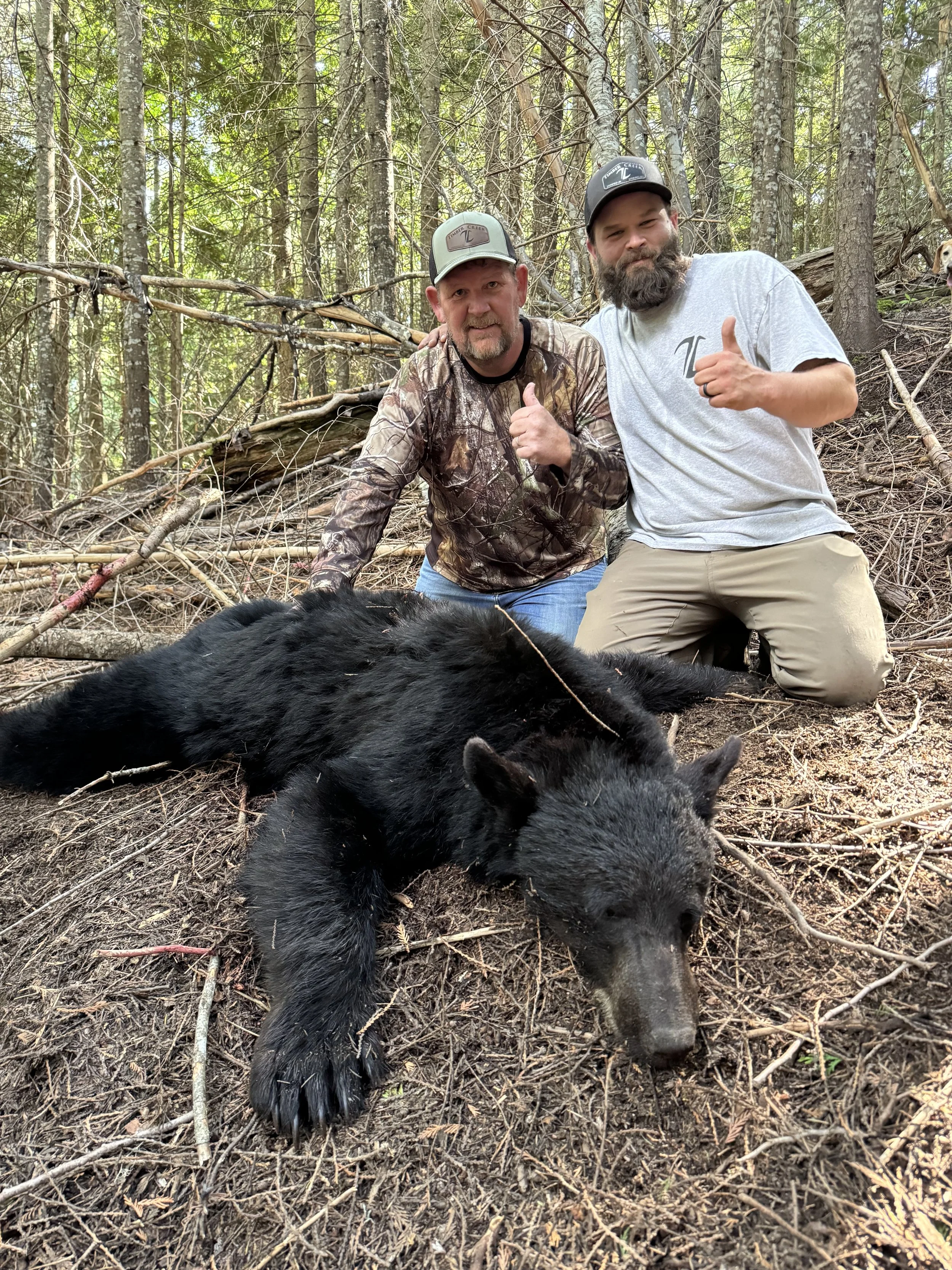Two men kneeling in a forest behind a large, black bear lying on the ground. Both men are smiling and giving a thumbs-up.