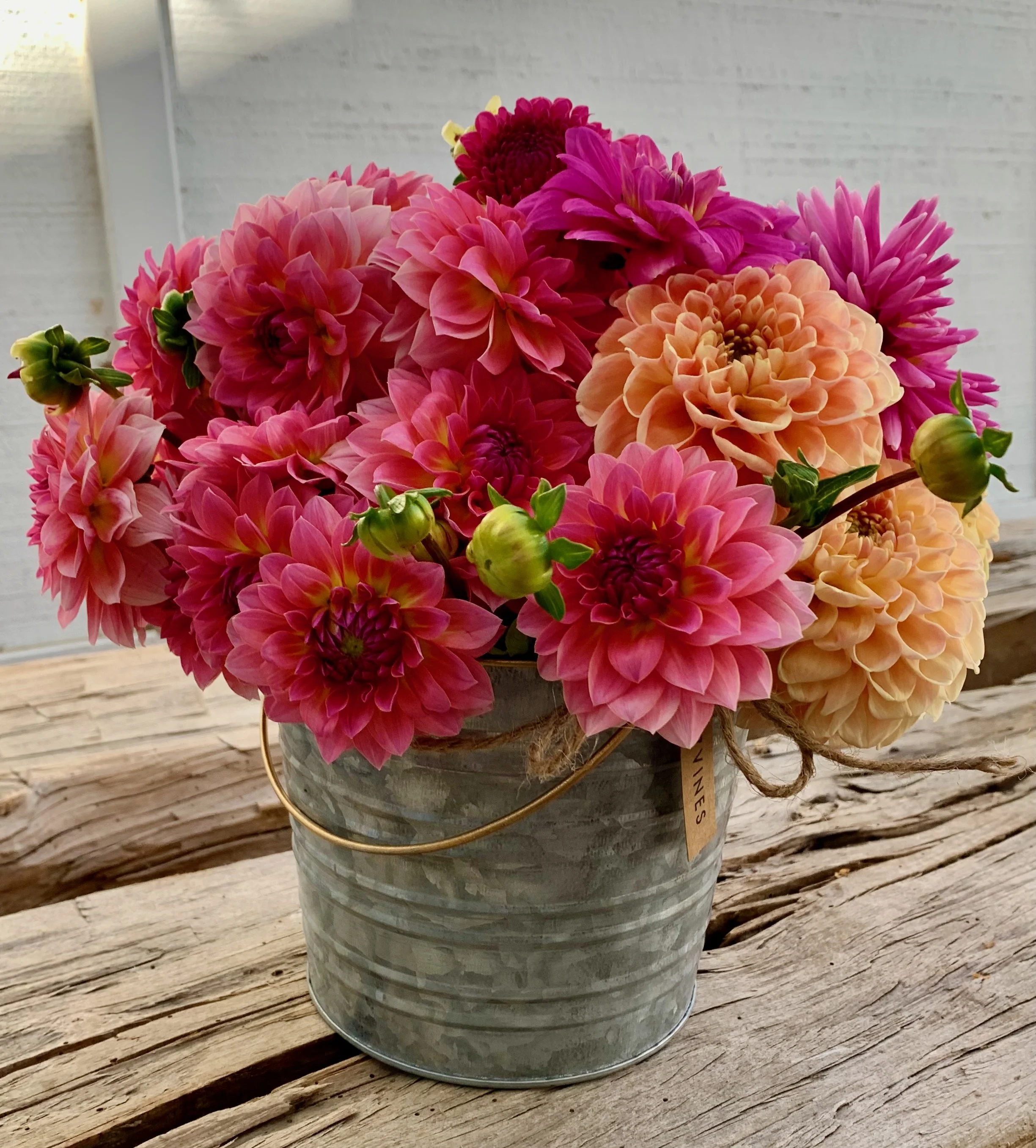 Flower Club