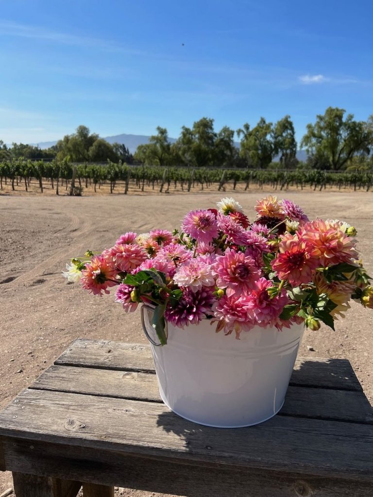 27Vines_Flowers_05.jpg