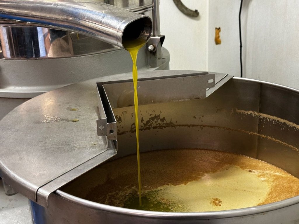27Vines_OliveOil_04.jpeg