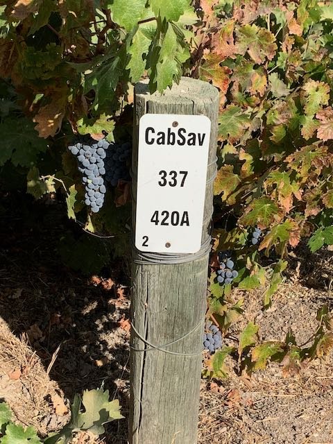 27Vines_Wine_03.jpeg