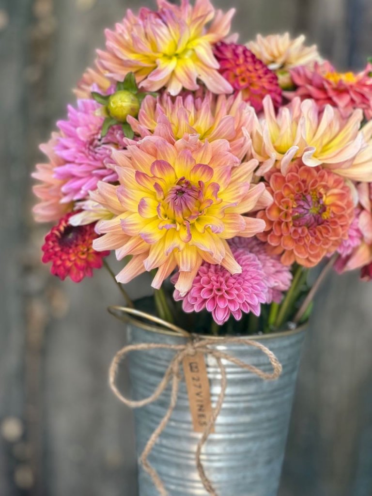 27Vines_Flowers_04.jpg
