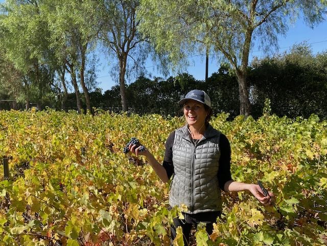 27Vines_Wine_04.jpeg