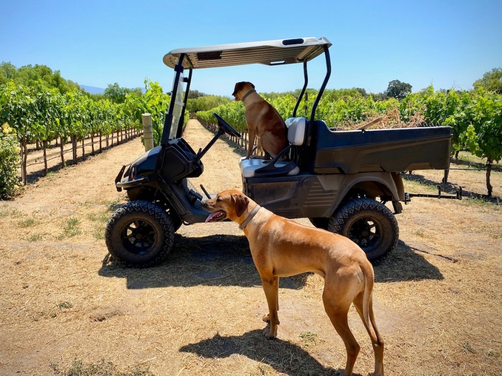 27Vines_Wine_05.jpeg