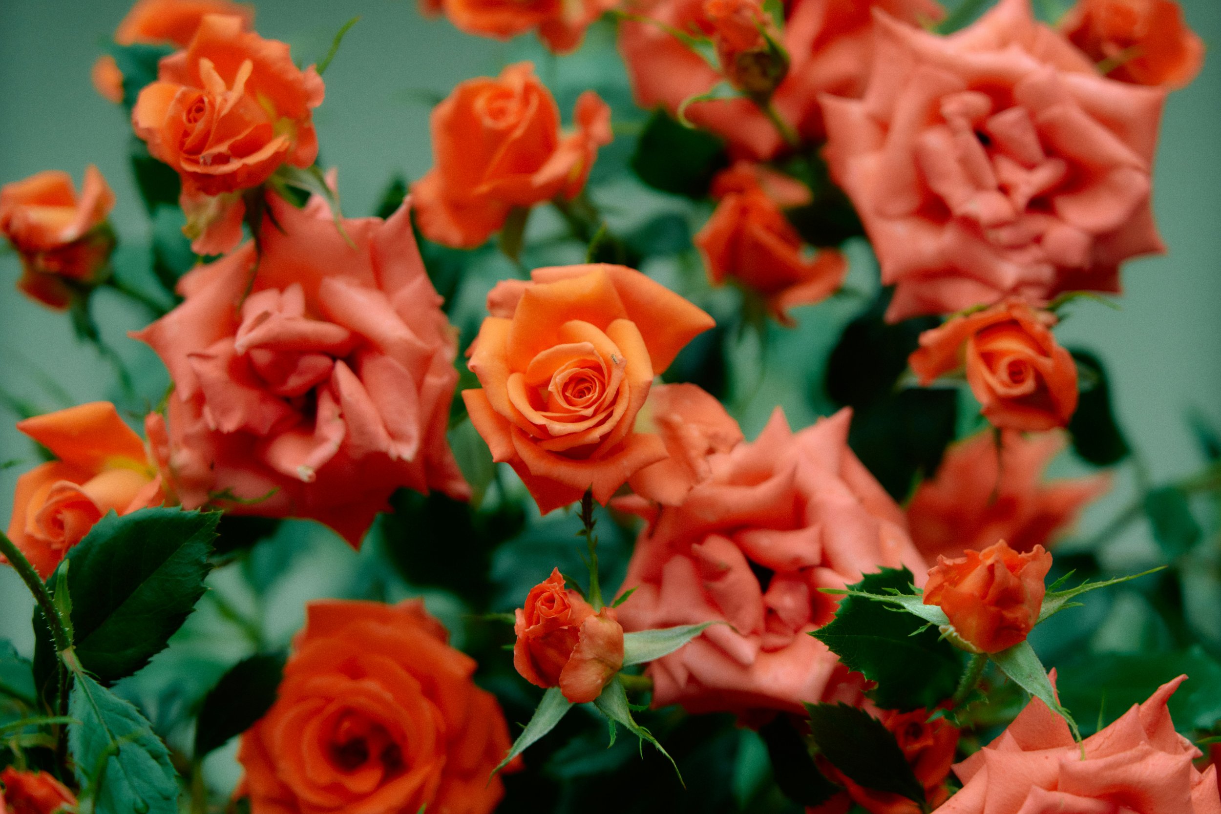 Two minimalist stoneware vases on a neutral surface against a plain beige background, one with dried flowers and seed pods.
