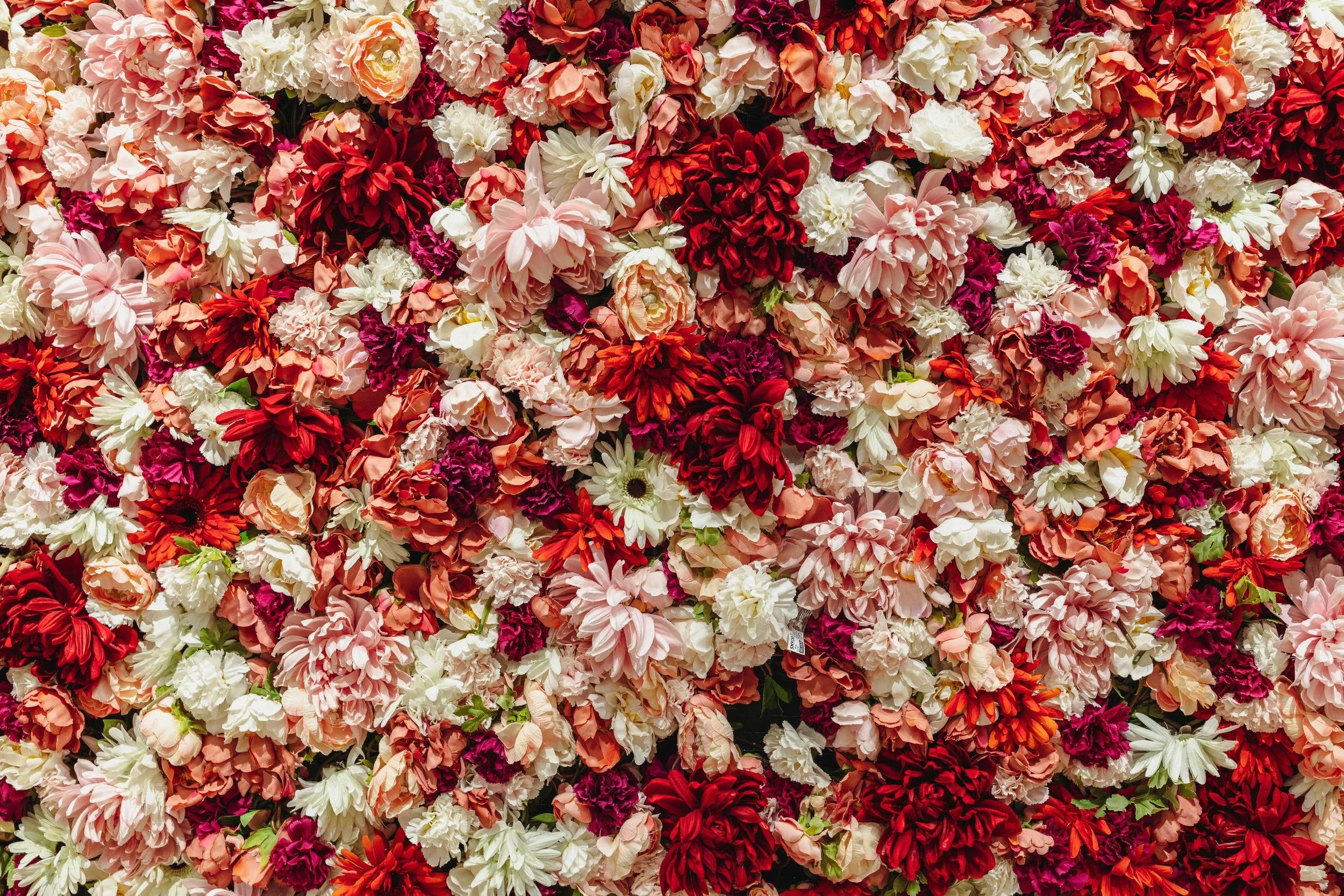 A beige ceramic vase with a narrow neck and a rounded body, containing dried branches with small round seed pods, placed on a wooden surface against a plain wall.
