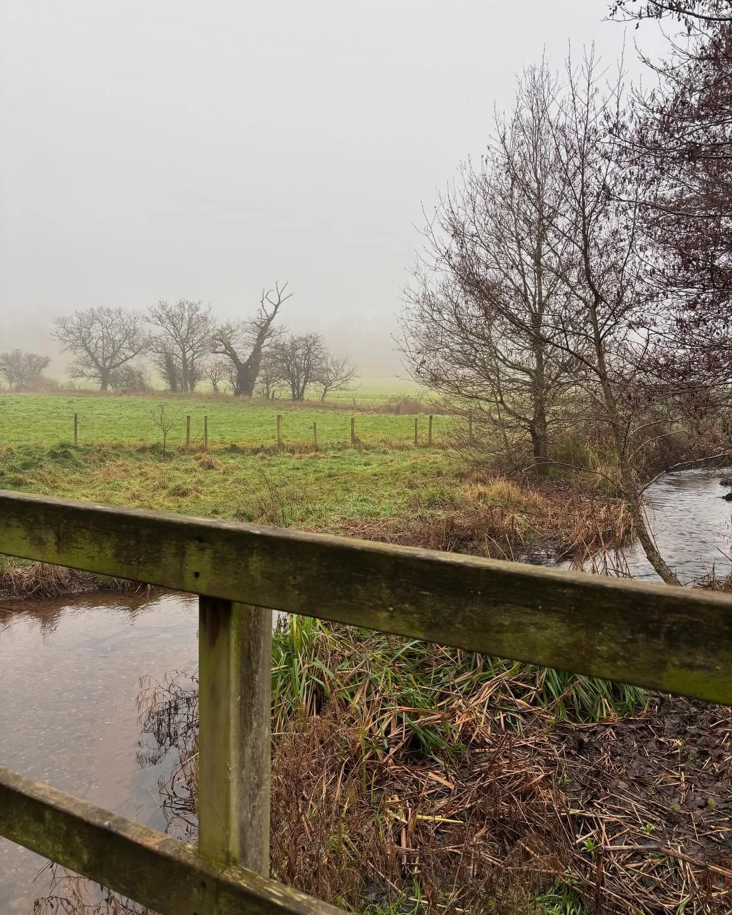 Healing often looks like taking one steady step towards yourself. Even the smallest bridge counts 🍂