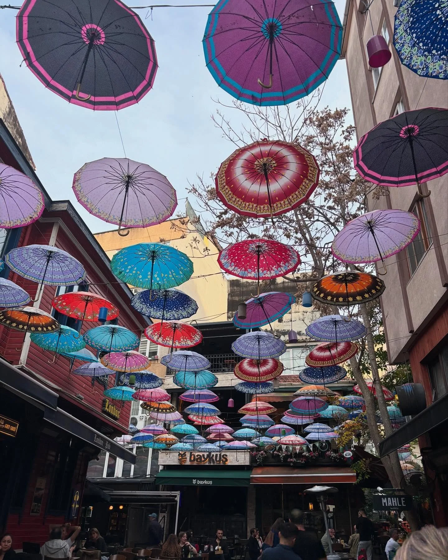 Even on heavy days, there are colours and coverings that help us through ☔️