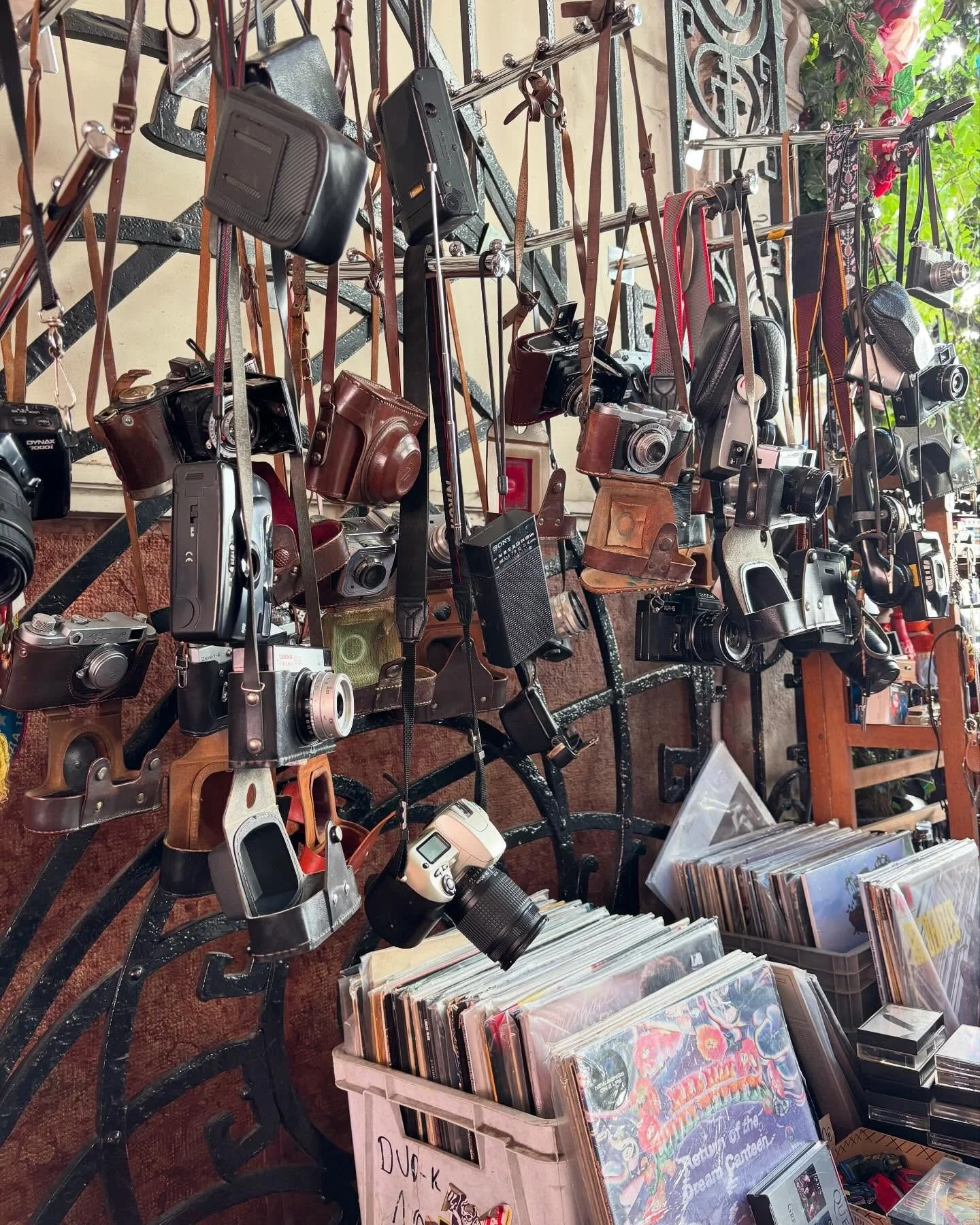 Collecting the little moments that remind us we&rsquo;re still living, not just getting through.📸