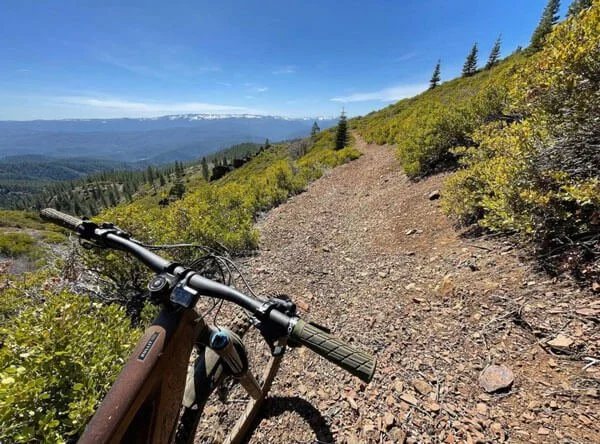 Our Forests Are Open – Let’s Get Back to It!