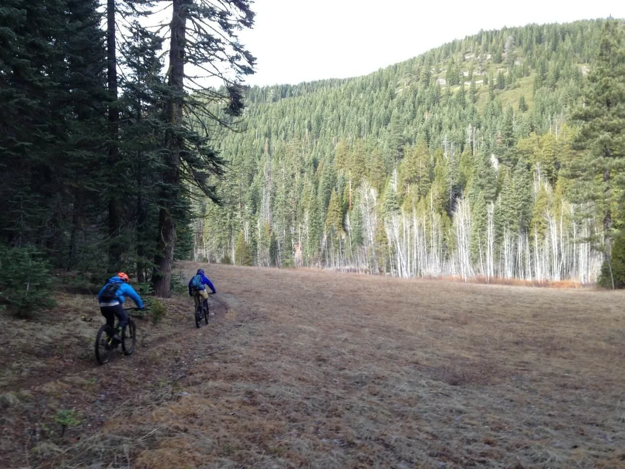 Reconnecting Downieville and Quincy by Trail