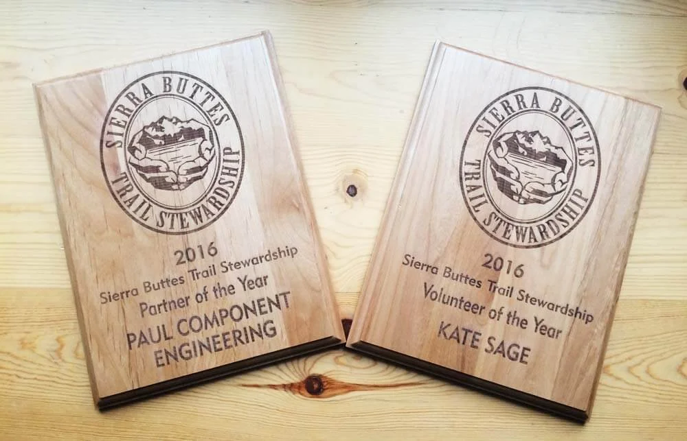 Volunteer and Partner of the Year awards