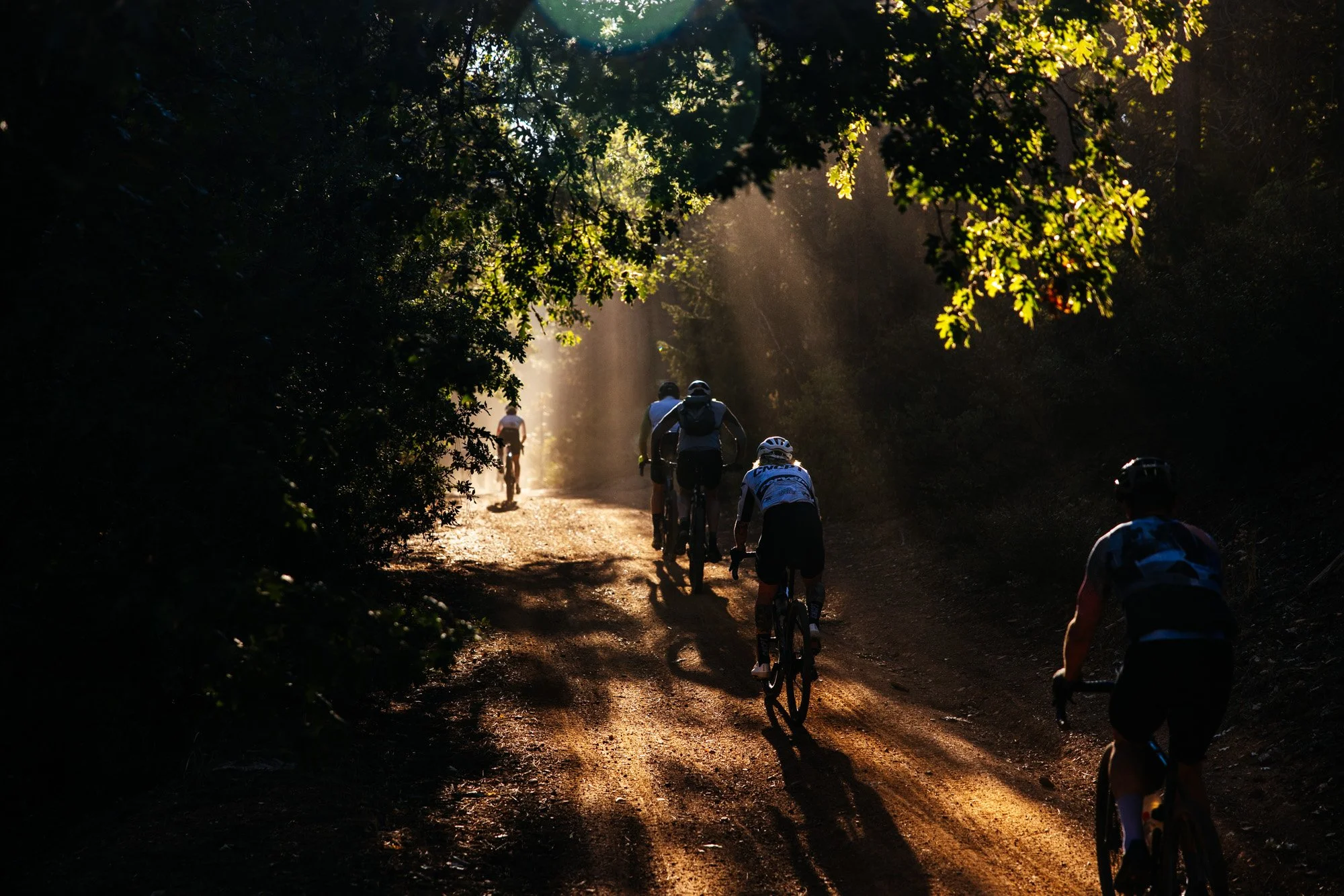 ONE WEEK TO GO until our final festival race weekend of the year, Mountains to Meadows Endurofest, feating @grinduro  and the Mt. Hough Enduro. Sign-ups are still open and conditions are shaping up to the be ALL-TIME, FALL-TIME with over an inch of r