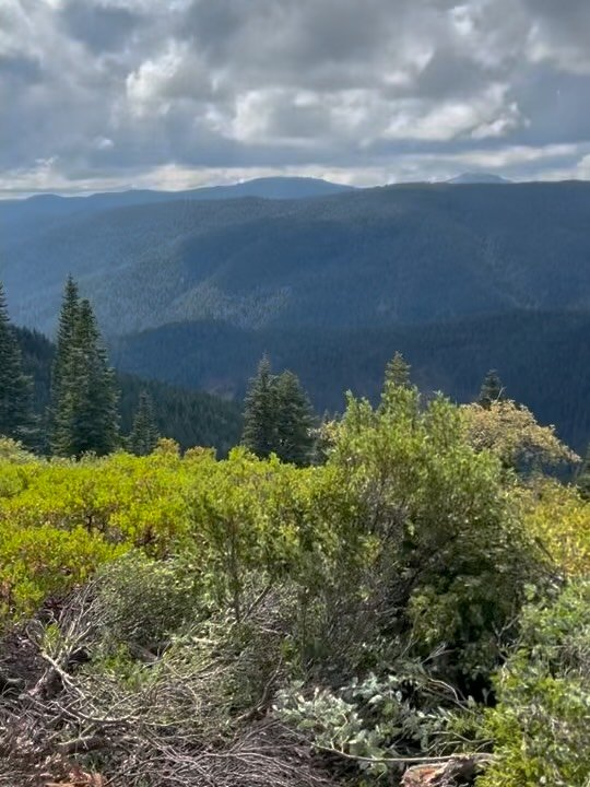**Project Update**The Downieville trail crew has finished the new alignment at the top of Big Boulder, building a 1.2-mile singletrack reroute that avoids the old steep rutted-out mining road as you pedal over to the main Big Boulder trail from Paule