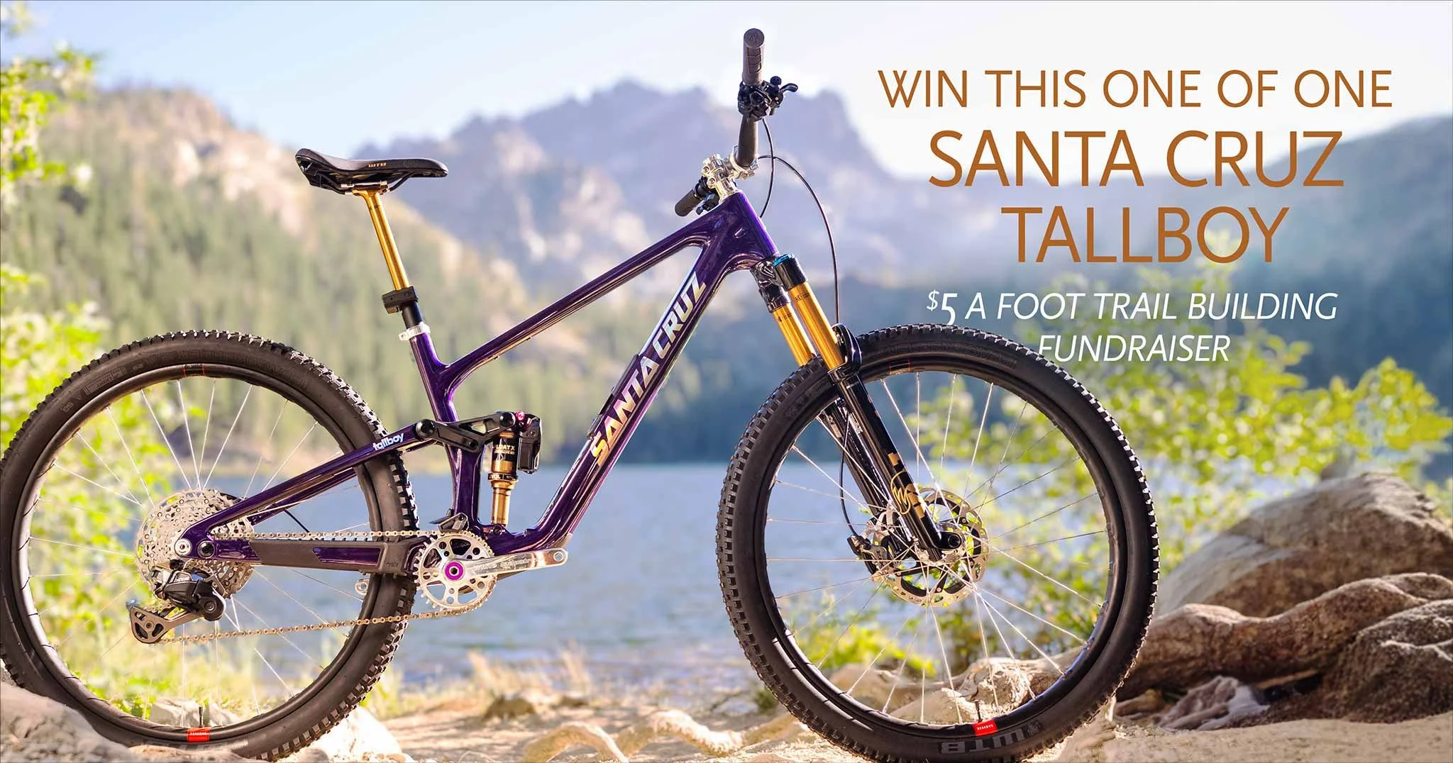 5 Bucks Santa Cruz Tallboy
