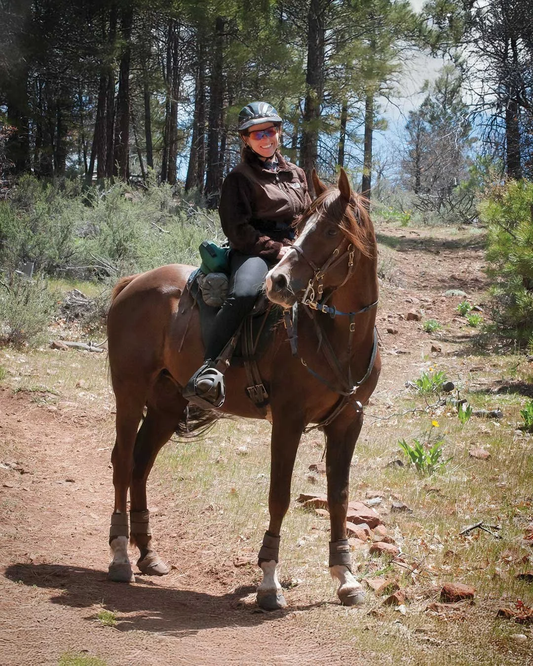 Woman on horse in forest