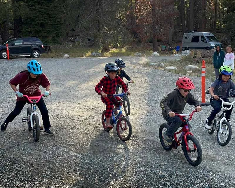 Kids on bikes