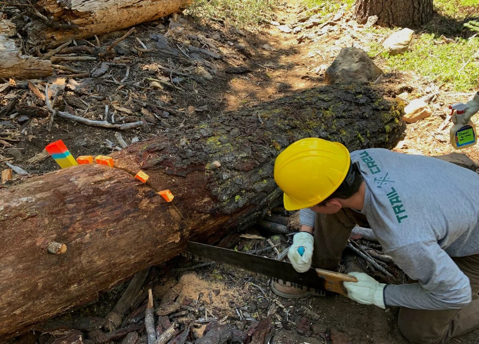 Youth Crew cutting a log