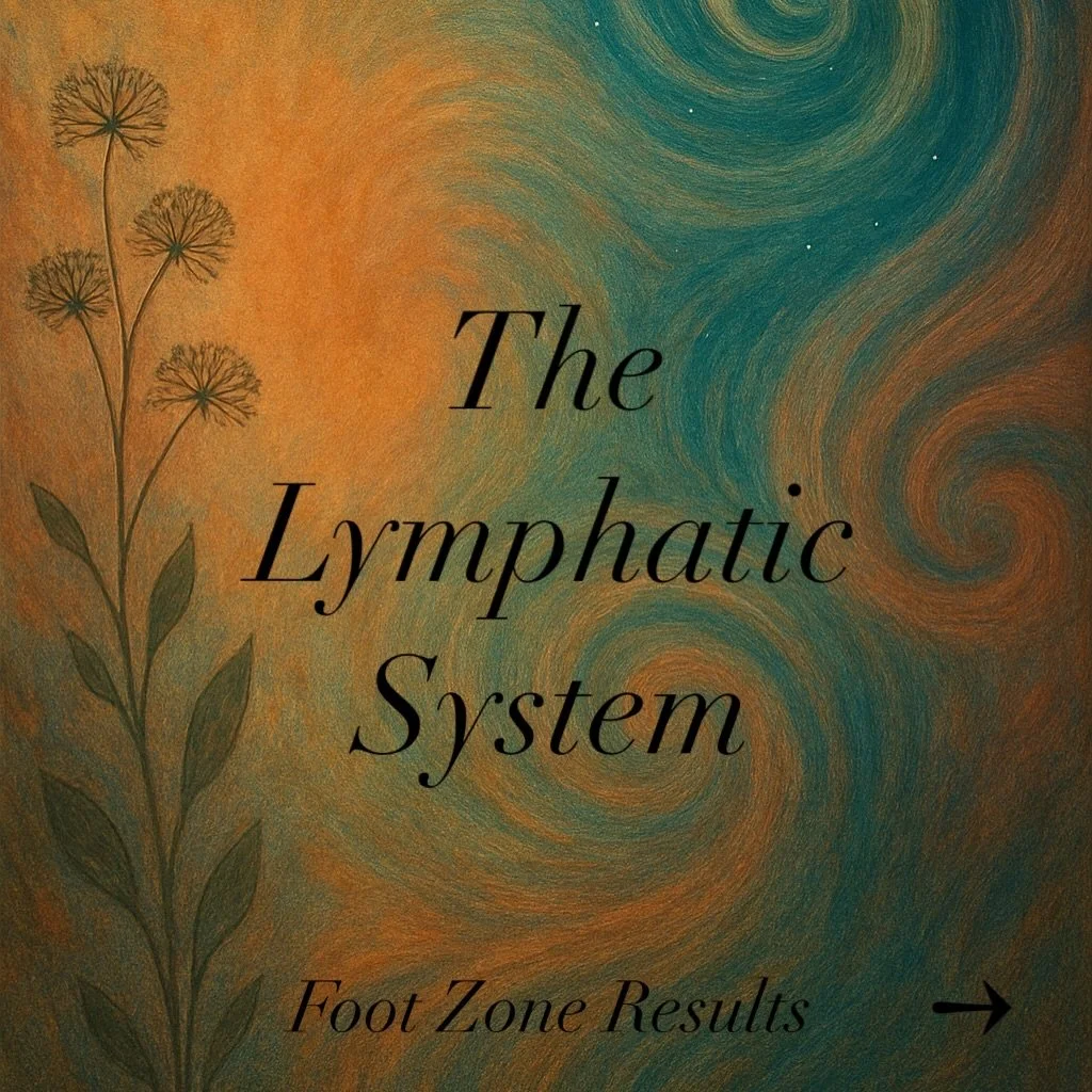 The Lymphatic System💧🌀

Your lymphatic system is a vital part of your body&rsquo;s detox &amp; immune function. It helps remove waste, toxins, &amp; extra fluid from your tissues. Your lymph relies on movement, deep breathing, hydration, &amp; inte