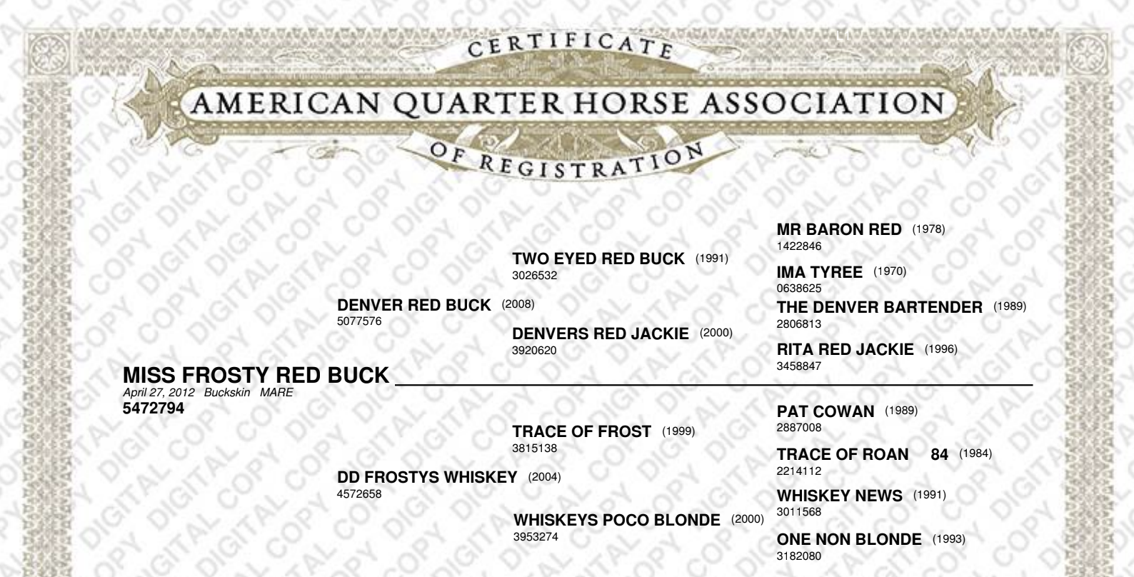 2-3 Miss Frosty Red Buck_AQHA.png