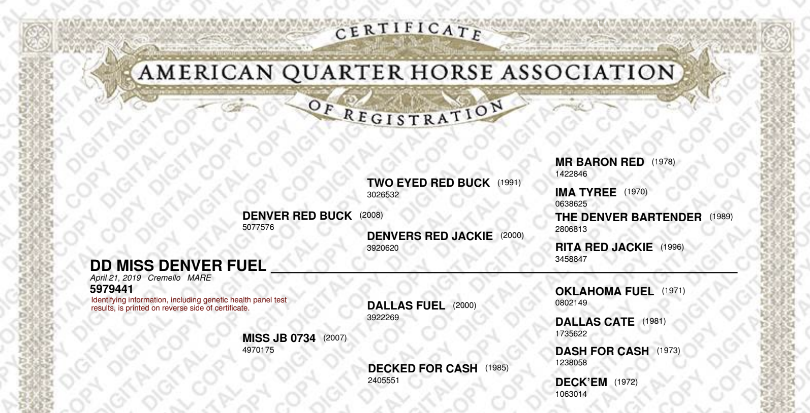miss-denver-fuel-aqha.png