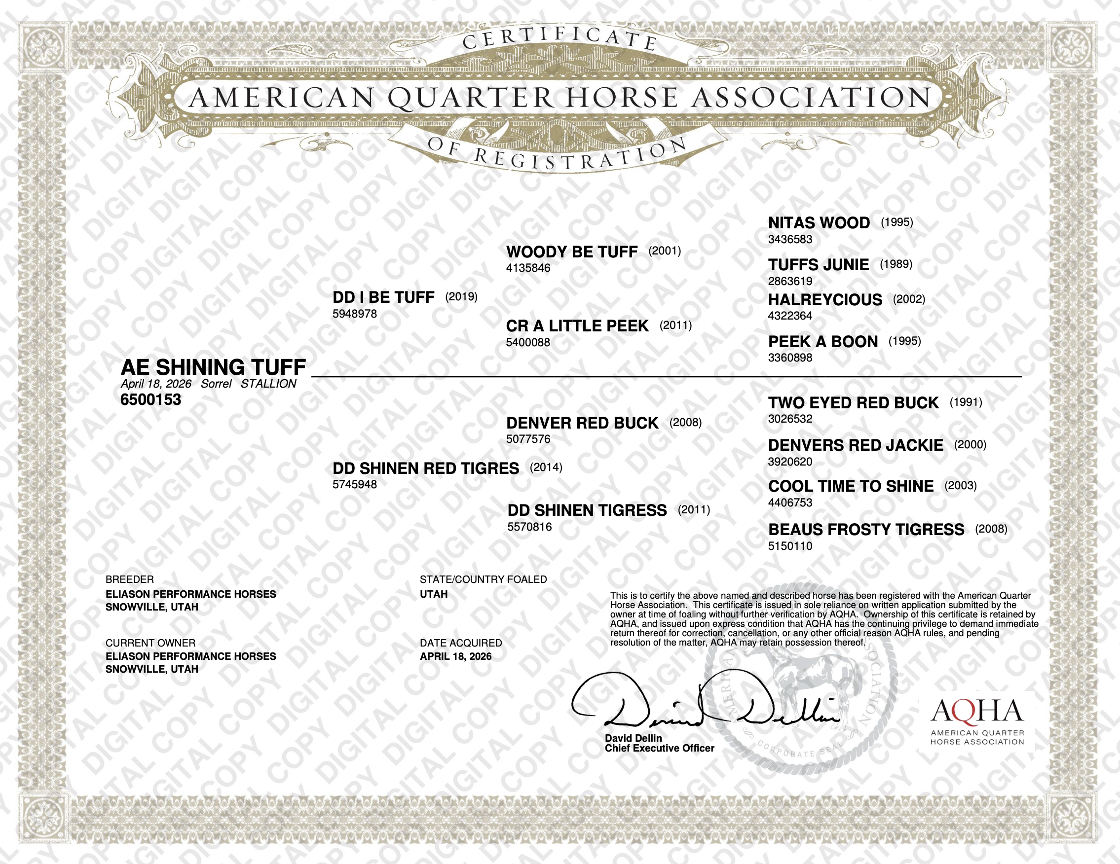 ae-shining-tuff-papers.png