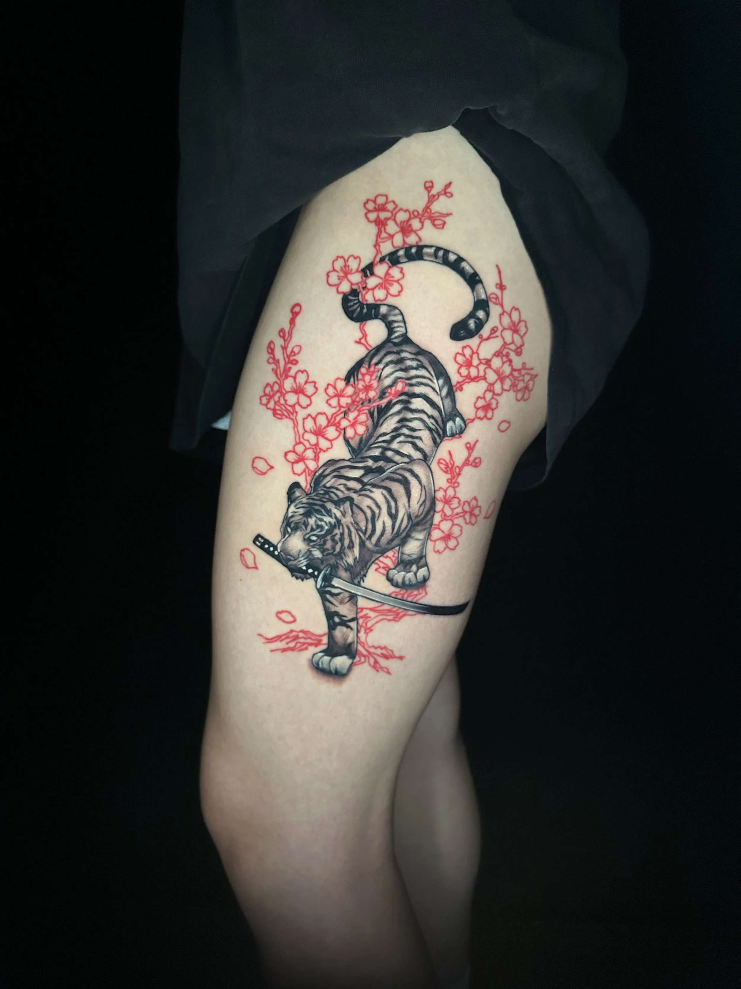 Tattoo of a tiger with a Katana sword, surrounded by red cherry blossom flowers on a person's thigh.