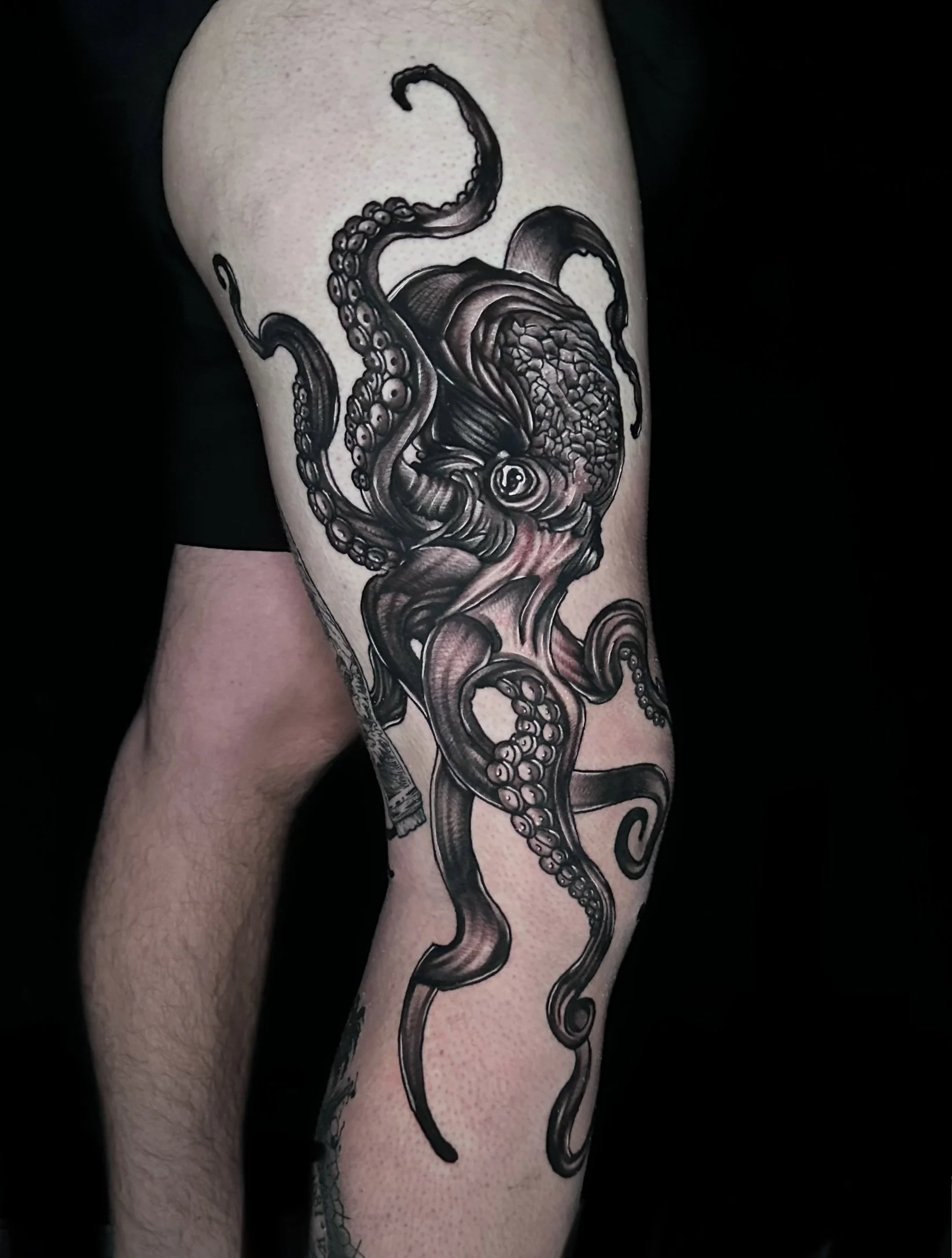 The Pink Flamingo Tattoo Studio