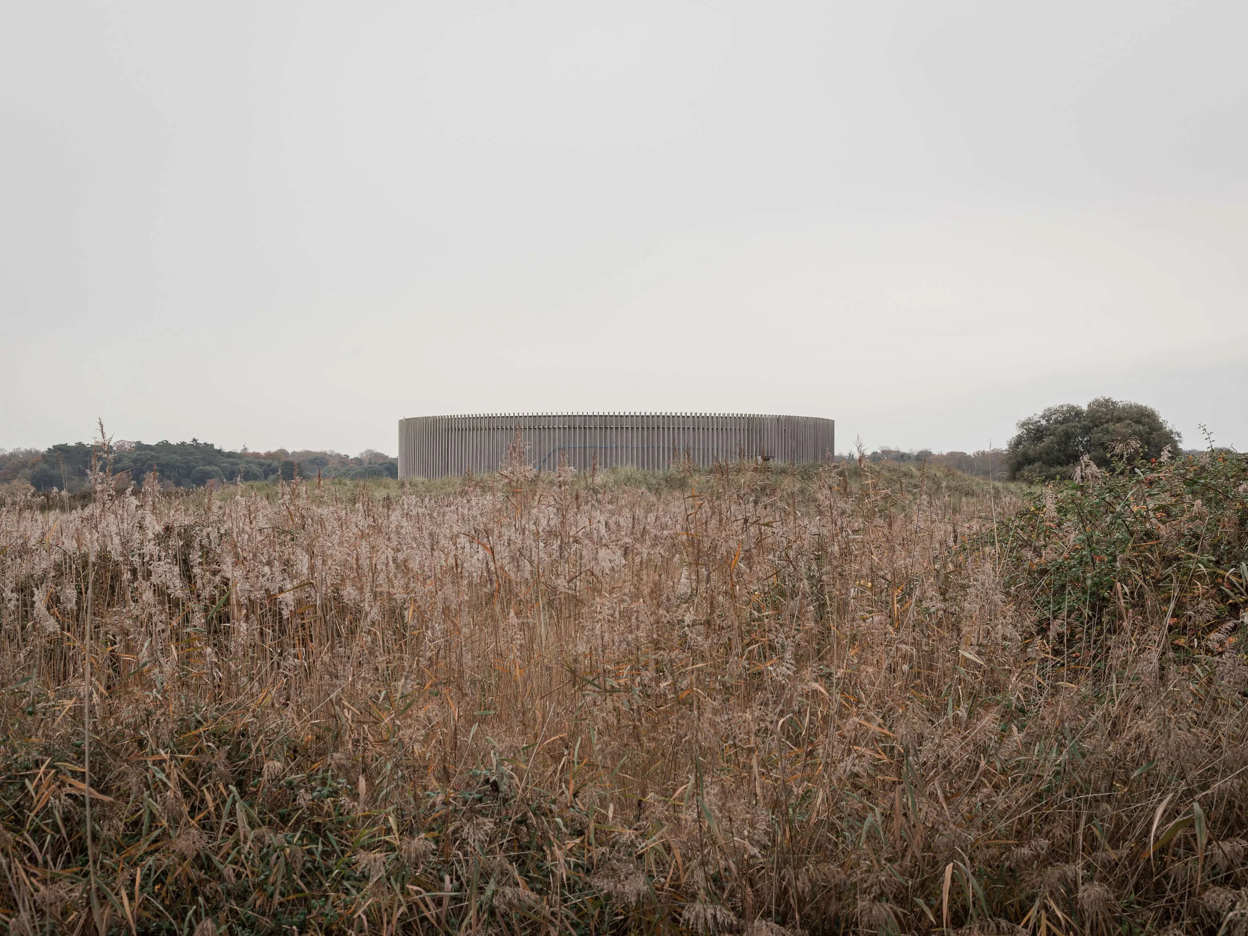 heritage and conservation-1.jpg