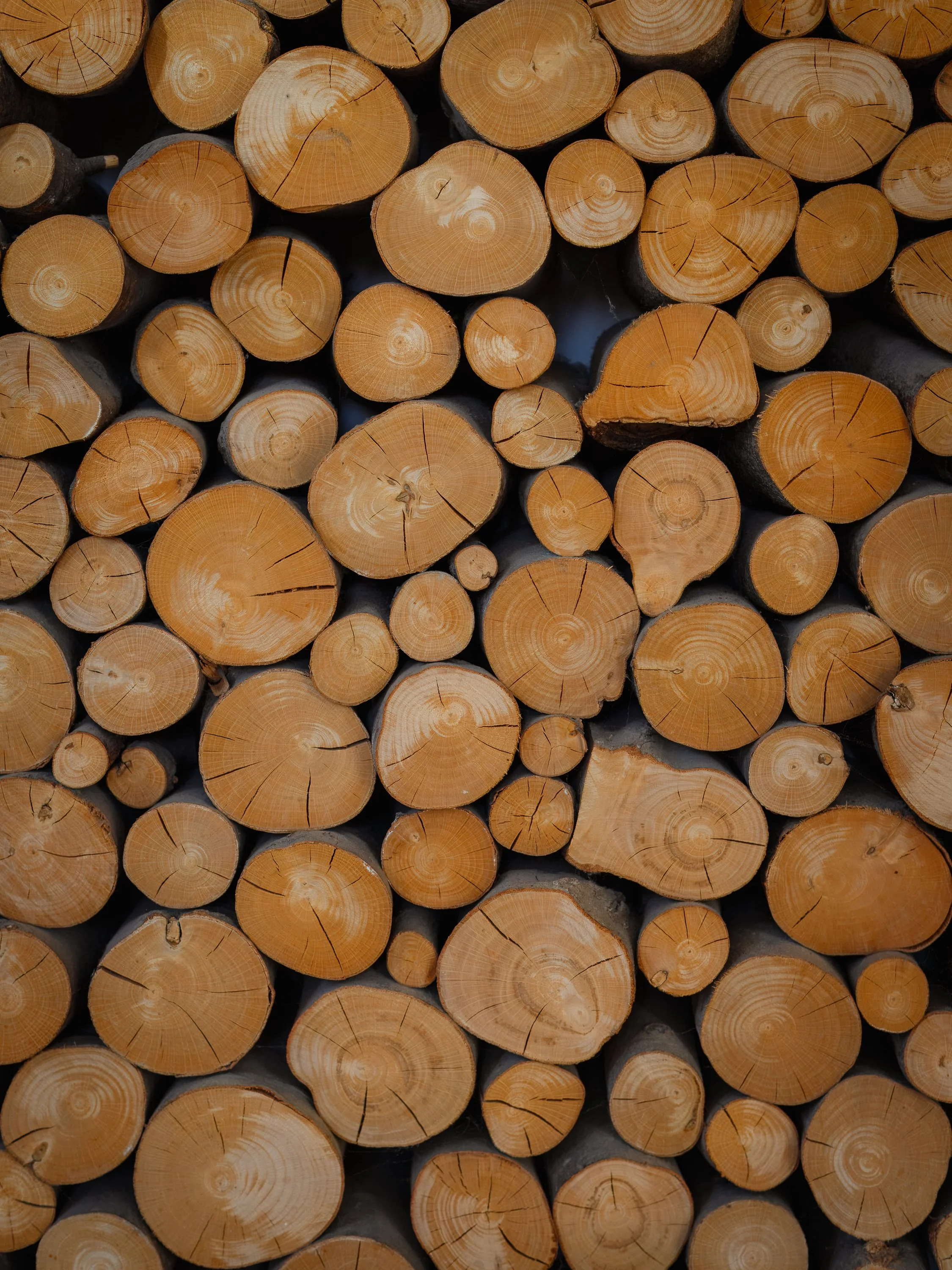 Stacked cut logs of wood arranged closely together.