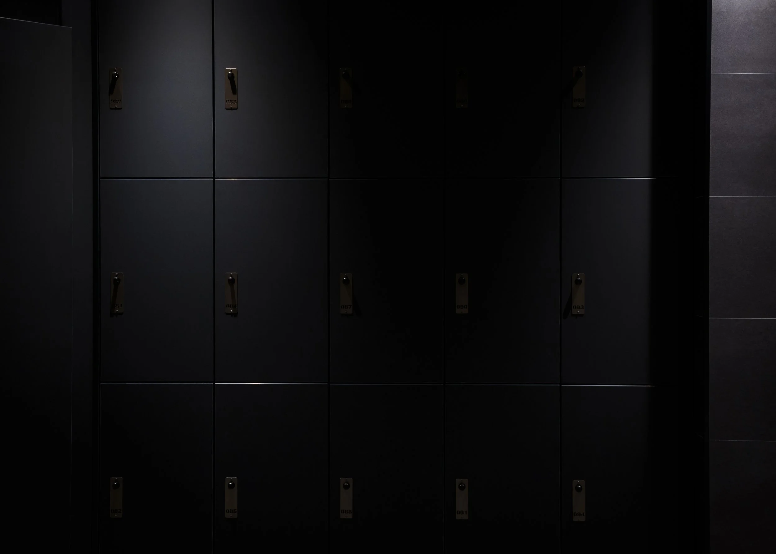 jake-hitchcock-safe-space-lockers-everlast-gym-1.jpg