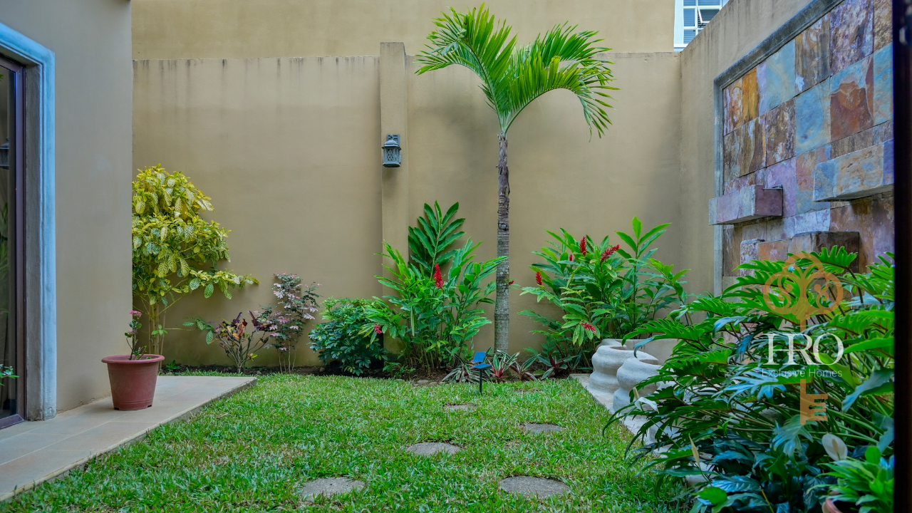 Horizontales (98).png