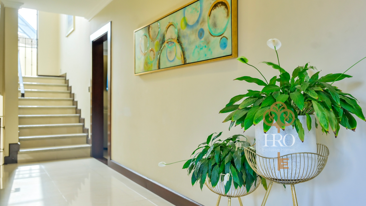 Horizontales (69).png