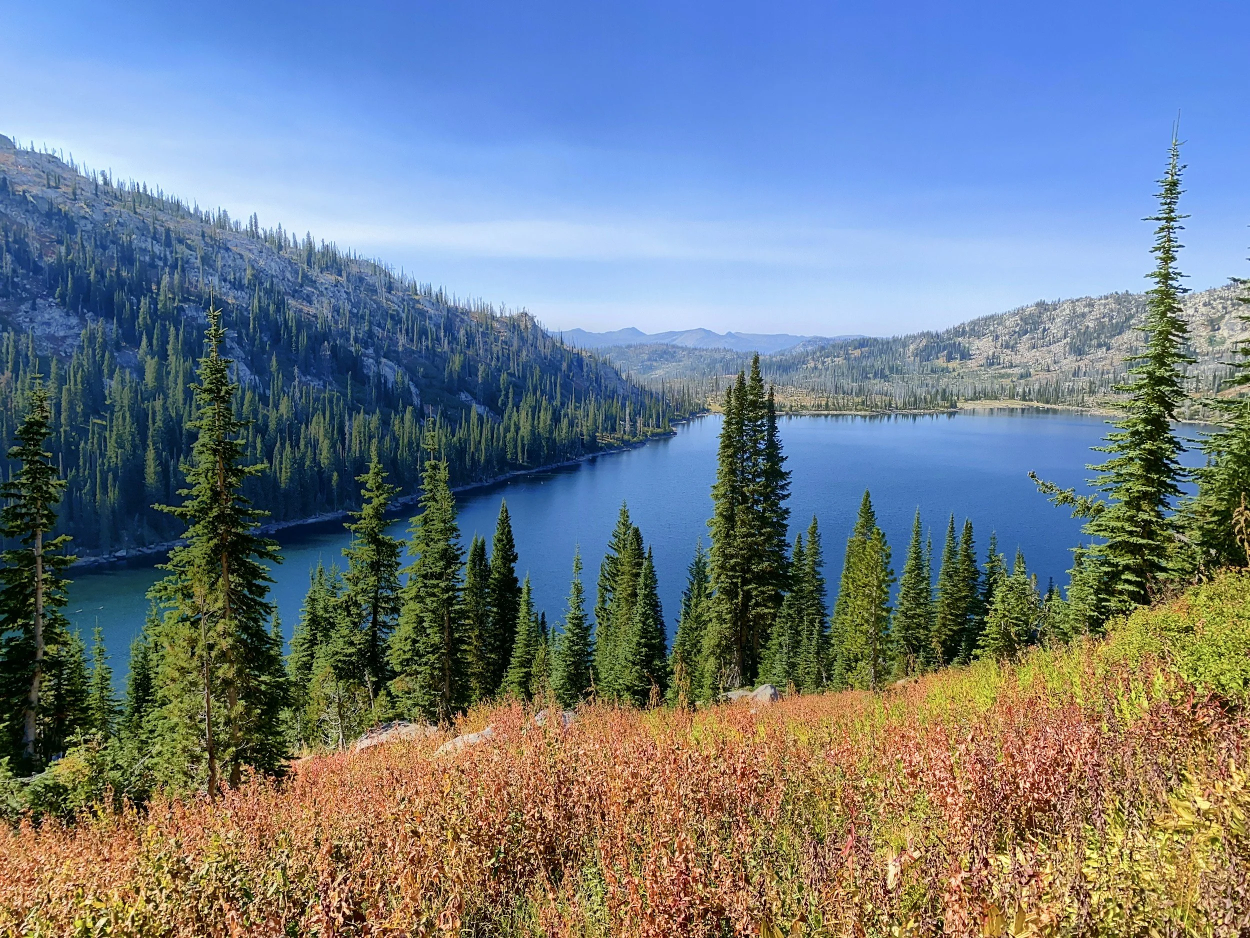 A scenic mountain lake surrounded by pine trees and colorful shrubs, with blue sky overhead.