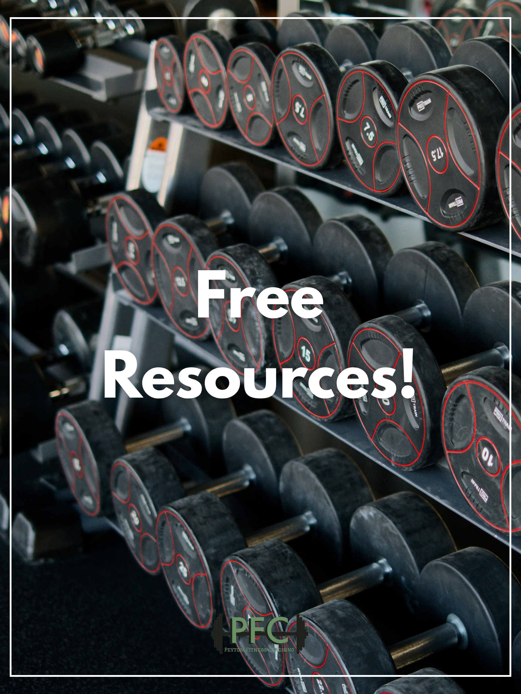 A collection of black dumbbells with red accents on a rack in a gym. The dumbbells are arranged by size with their weight labels visible. The flooring is black and the background shows more gym equipment.