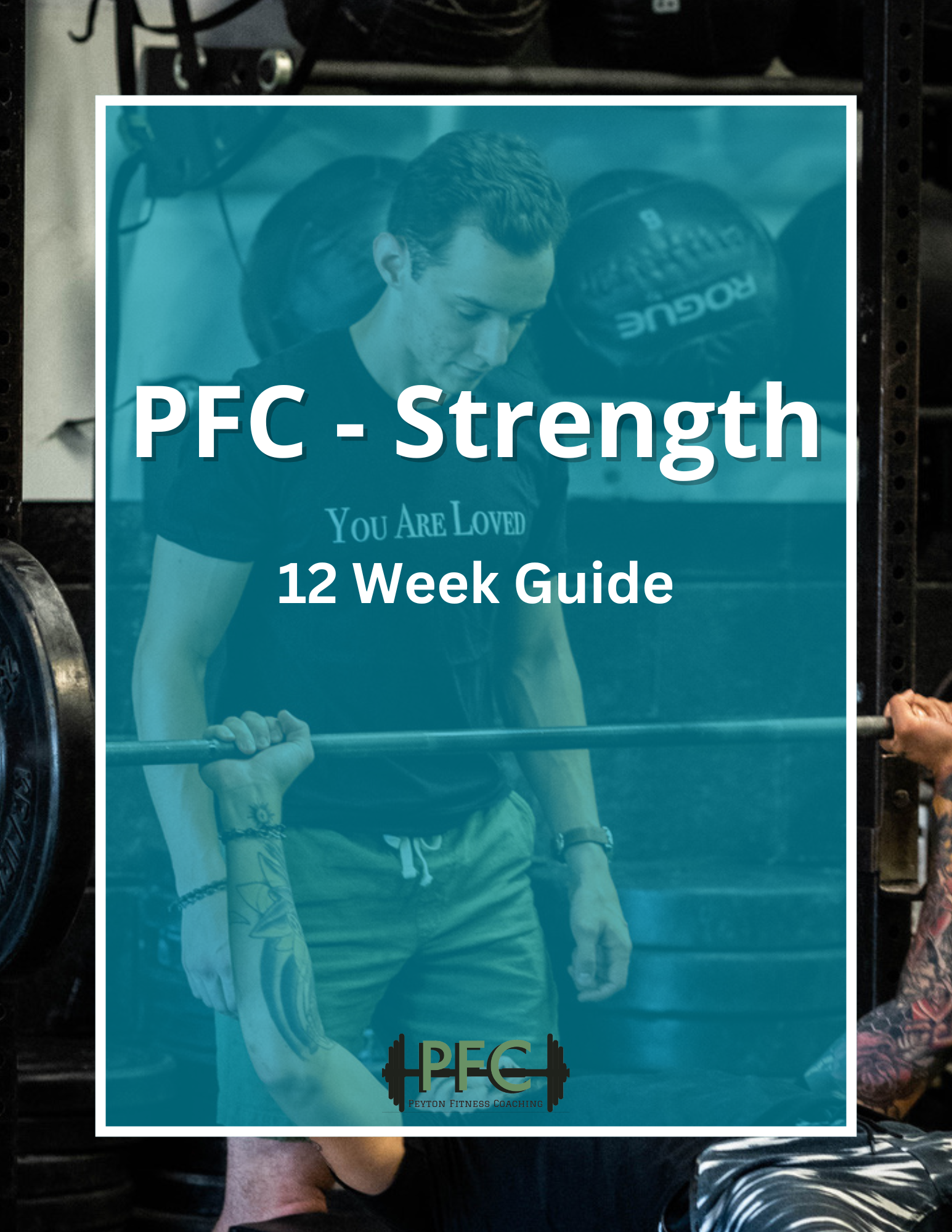 Cover for PFC strength.png