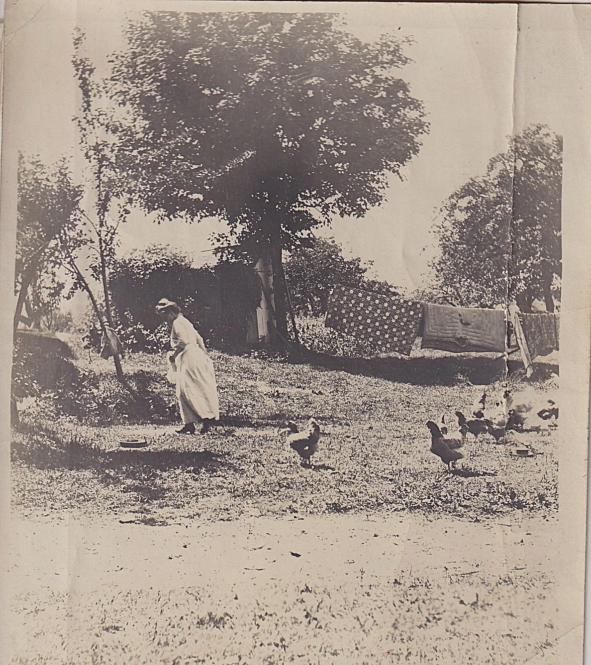Lottie Niles Avery, Island View Farm