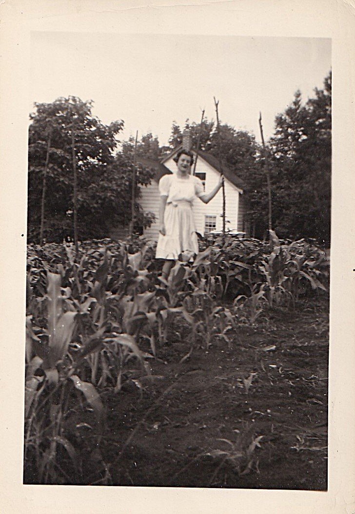 Mildred in the corn field, 65 Avery Shores