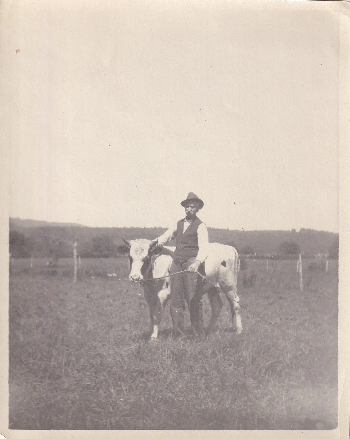 George Avery and bull