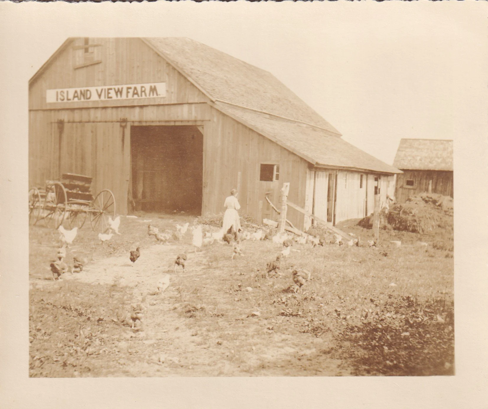 Lottie Niles outside of Island View barn