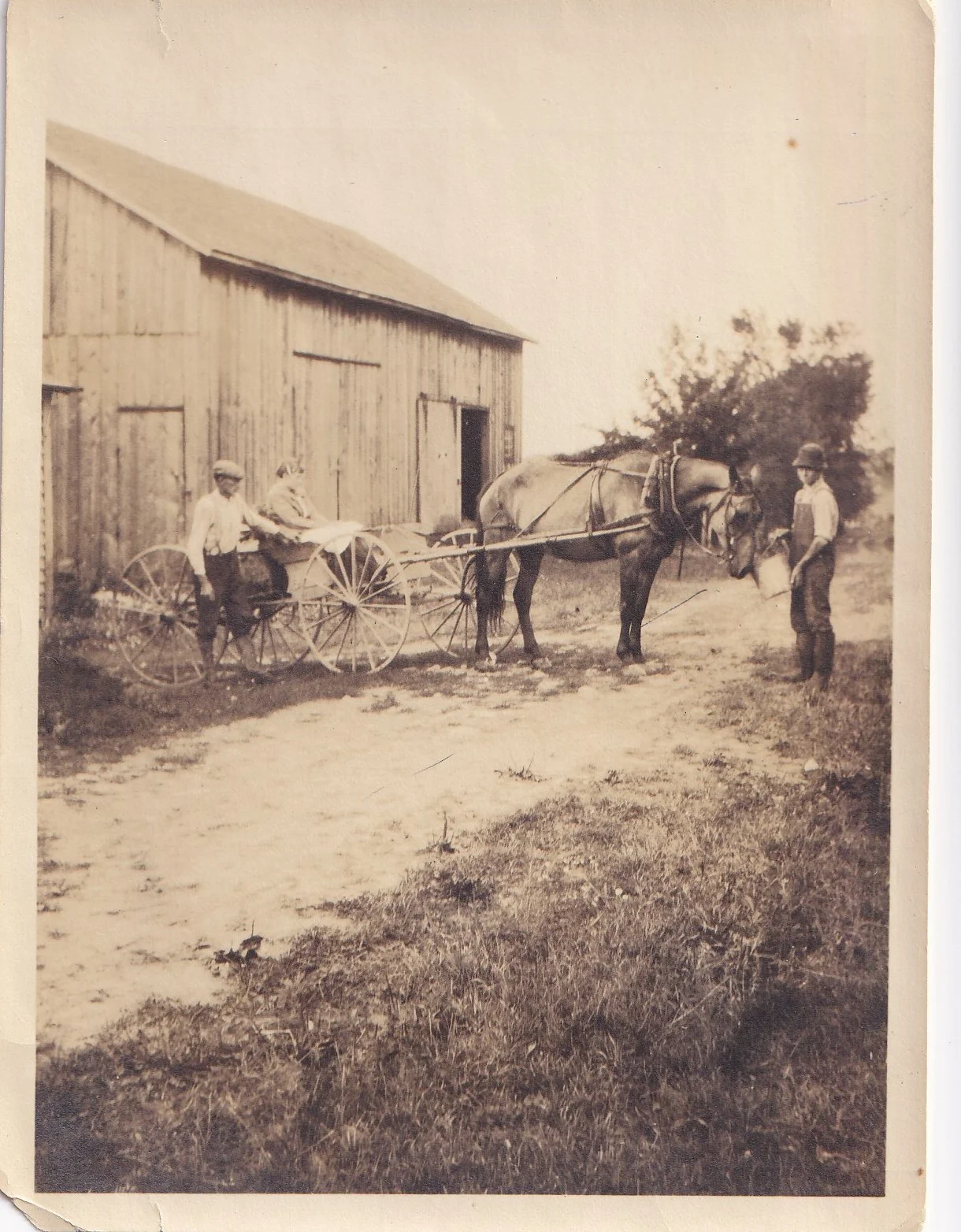 Carriage outside of Avery Farm second barn