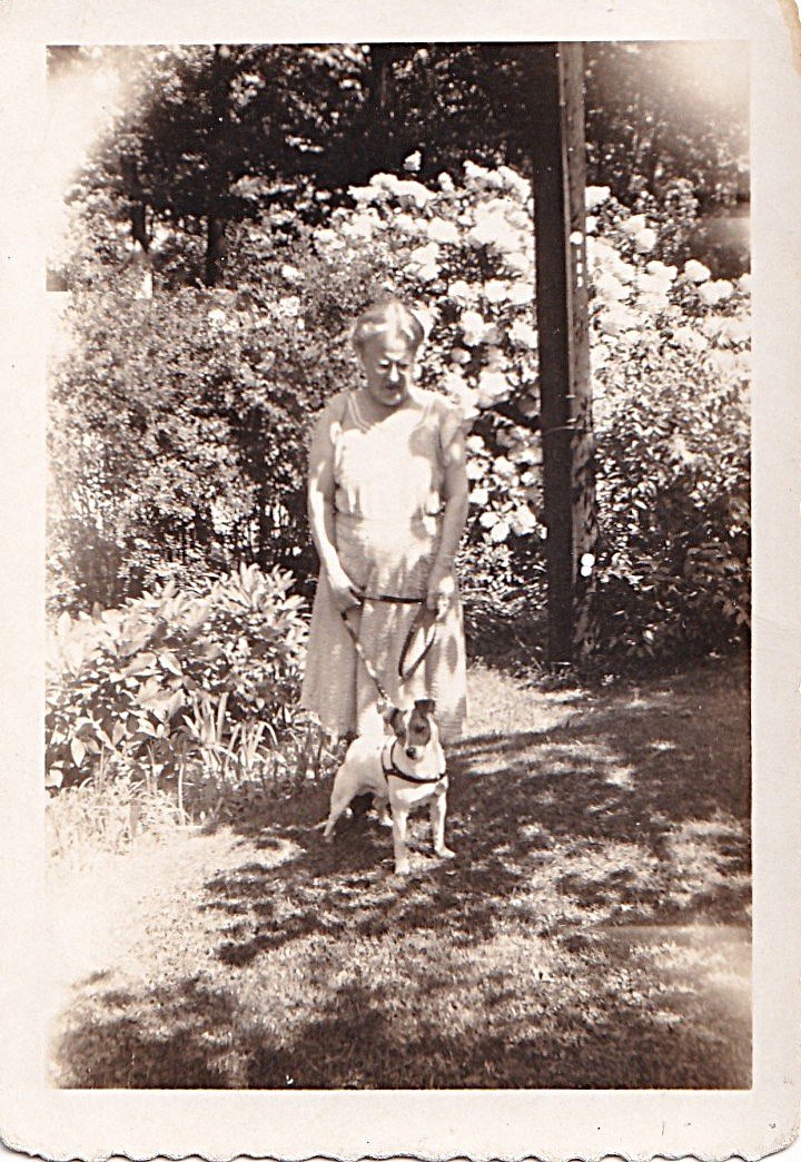 Skippy out for his daily walk with Ethel
