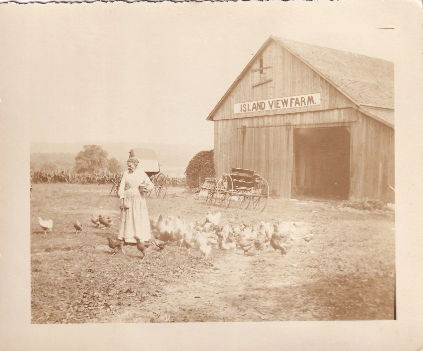 Lottie Niles feeding her chickens