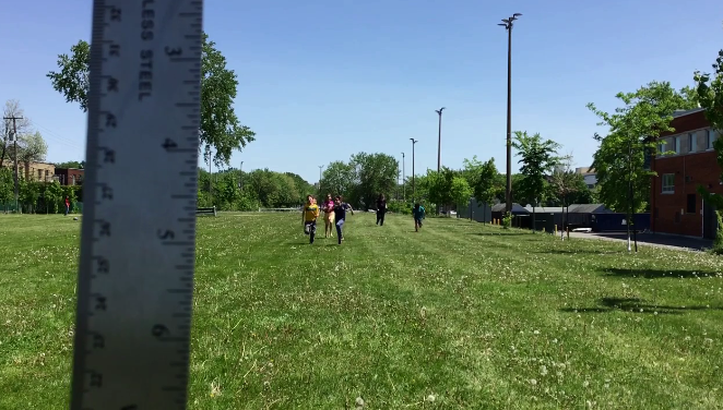 Groupe de personnes marchant dans un parc avec des arbres, lampadaires et maisons en arrière-plan, vue depuis une règle verticale