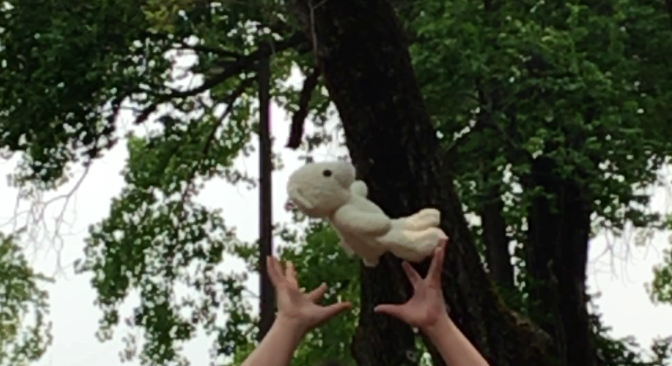 Une personne tenant un ours en peluche devant un arbre dans un parc.